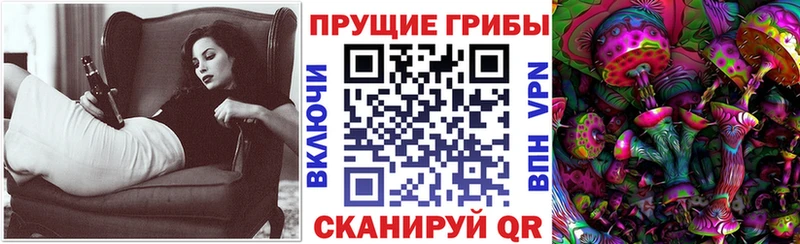 Галлюциногенные грибы Psilocybe Хилок
